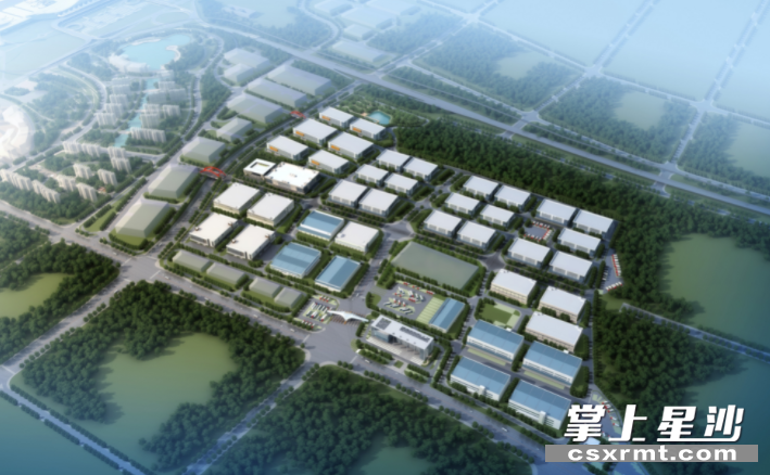 项目建成效果图。供图